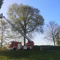 2020-05-05_thl_dlk-astbaum_kotzersdorf_ffkem_2.jpg