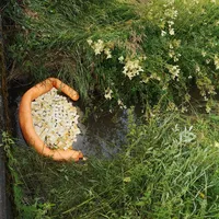 2022-07-07_wildenau_ol-gewasser_ff-kem_3.jpg