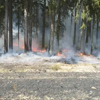 2020-08-08_brandeinsatz_neumuhleschlammersdorf_ffkem_4jpg.jpg