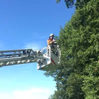 2020-07-28_tierrettung_katze-baum_neusteinreuth_1.jpg