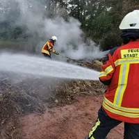 2020-07-26_brand-freiflache_kuchenreuth-schwabeneggaten_1.jpg