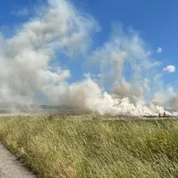 2023-06-11_brand-freiflache_schlackenhof_ff-kem_2.jpg