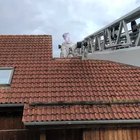 2022-06-24_insekten_dlk_ff-kem_3.jpg