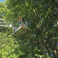 2020-07-28_tierrettung_katze-baum_neusteinreuth_3.jpg