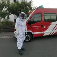 2022-07-05_kem_anzensteinstr_insekten_ff-kem.jpg
