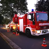 2021-09-01_insekten_gefahr_oberndorf_ff-kem1.jpg
