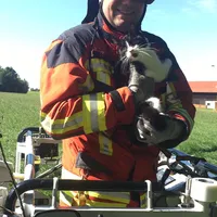 2020-07-28_tierrettung_katze-baum_neusteinreuth_2.jpg