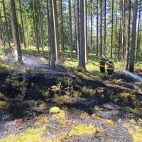2022-07-19_brand-grunberg_brand-i-d-opf-wald_ff-kem_2.jpg