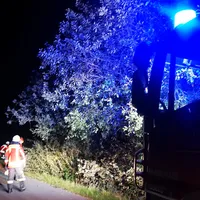 2020-10-01_baum-strasse_ovs_b22kem-kuchenreuth_1jpg.jpg
