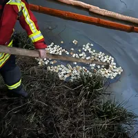 2022-01-03_wetzldorf_grosser-weiher_ol-gewasser_ff-kem_1.jpg
